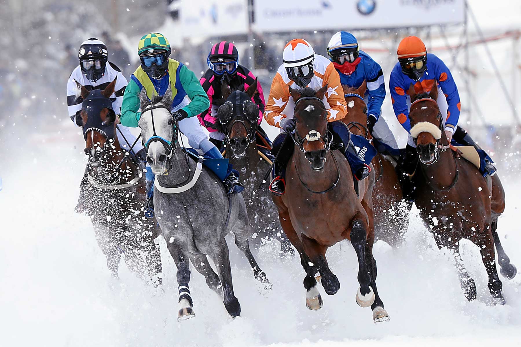 whiteturf whiteturf